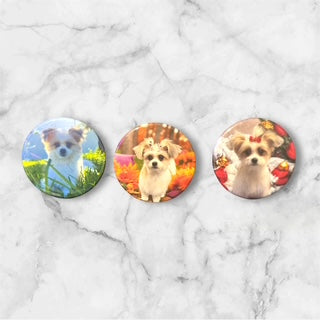Custom 2.25 inch round photo magnets - Family/Friends/Wedding/Birthdays/Graduation/Baby and much more